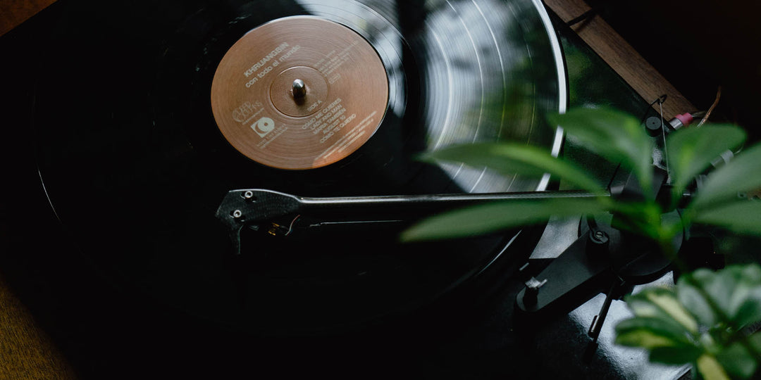 This is how you collect vinyl