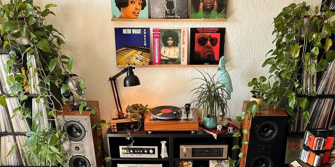 Show Off Your Vinyl Collection and Earn with VinylCrafts!
