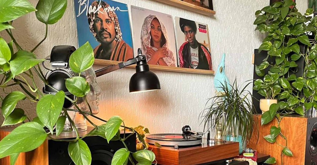 In the spotlight: the handy vinyl album shelf